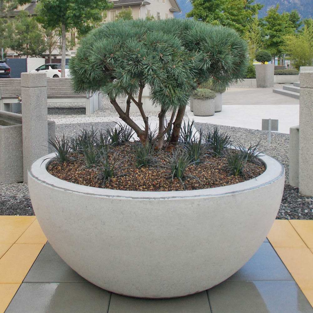 RONDO Pflanzenschale, anthrazit, glatt, gefast