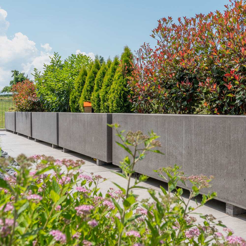 PARCO Pflanzentrog rechteckig, grau, glatt