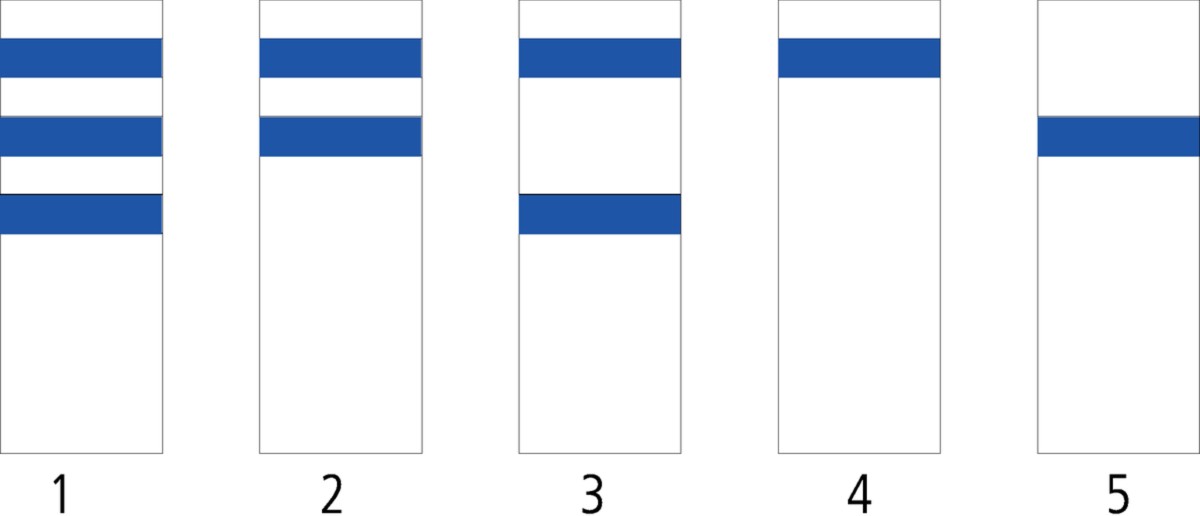 CLASSIC Wehrstein, Typ 4 grau, gestrahlt, rund, mit Dorn, mit reflektierendem Band rot